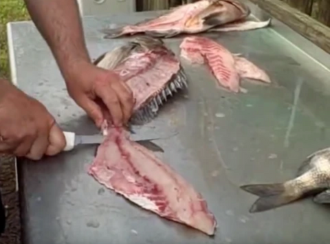 Remove The Skin From The Fillet 
